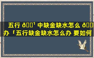 五行 🌹 中缺金缺水怎么 🐈 办「五行缺金缺水怎么办 要如何补救」